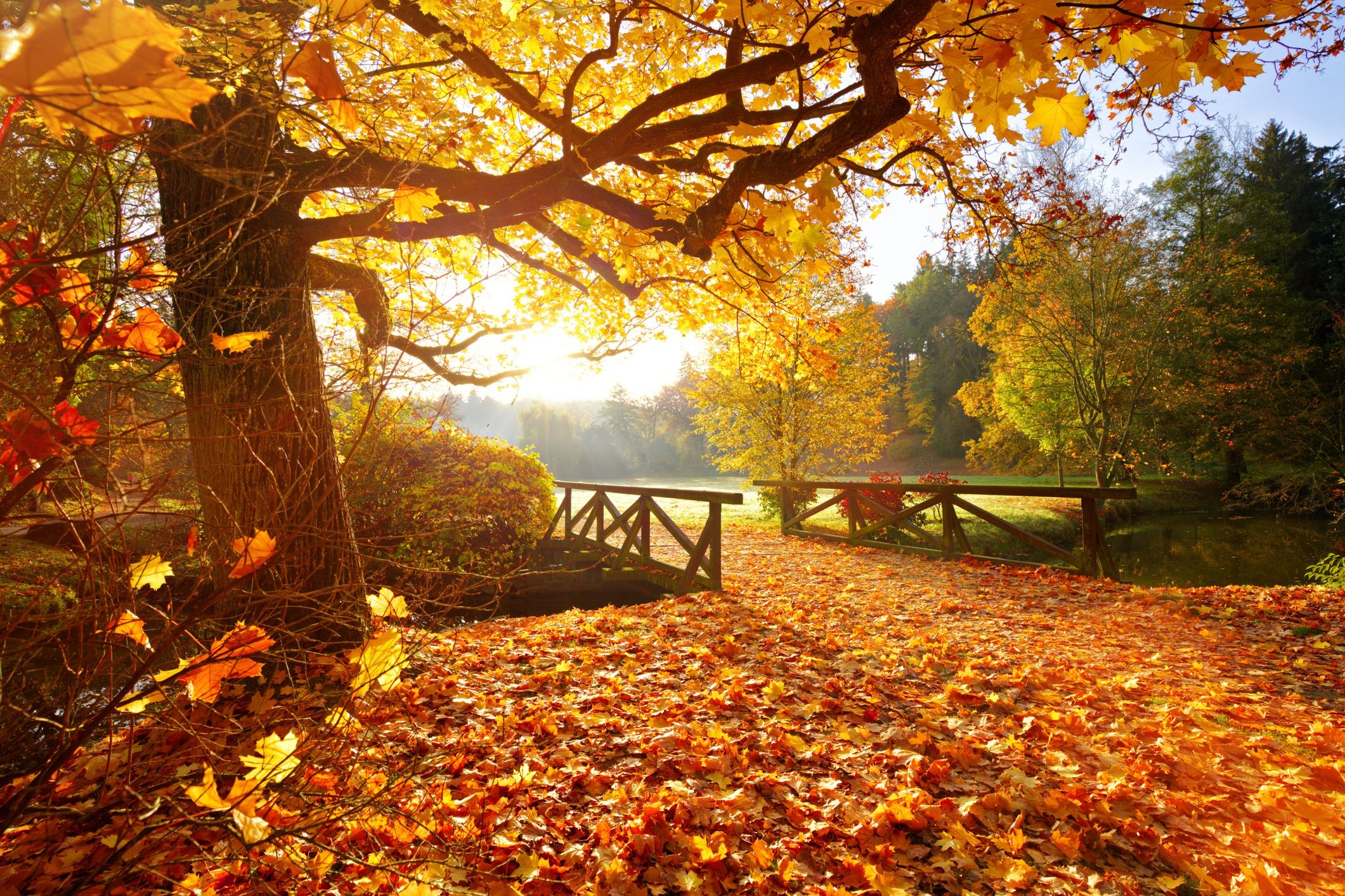 12 Facts About The First Day Of Fall