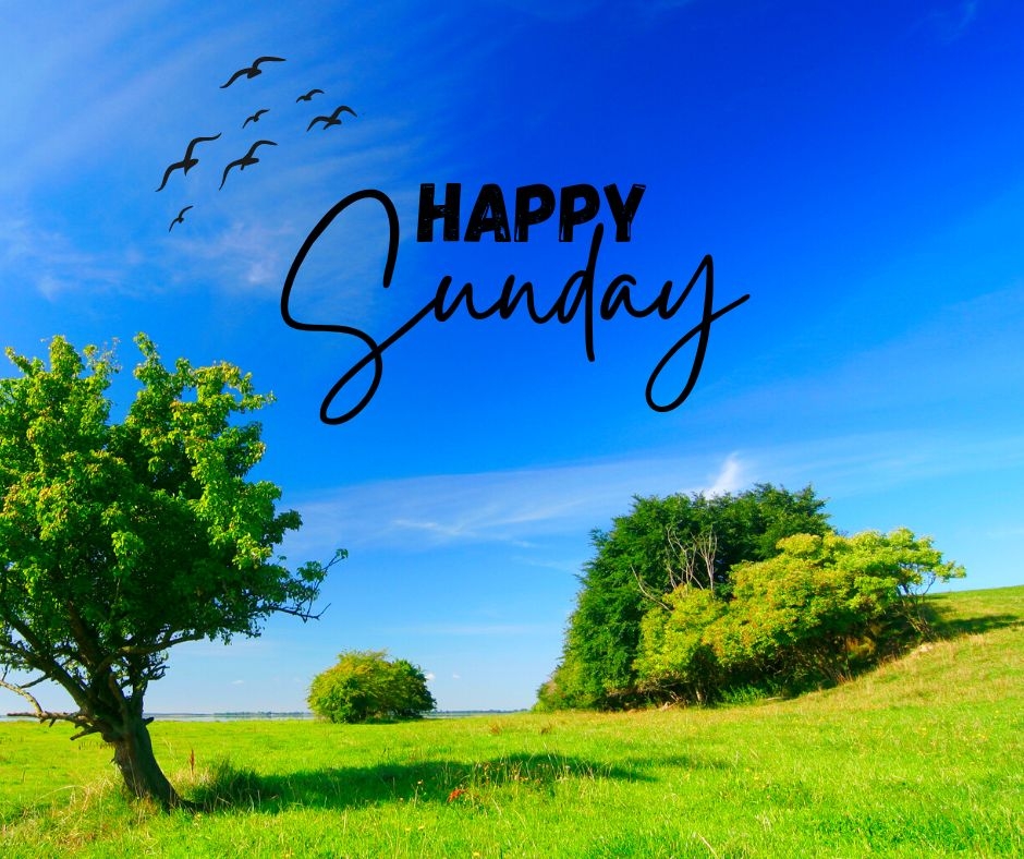1happy Sunday Quotes 1happy Sunday Quotes