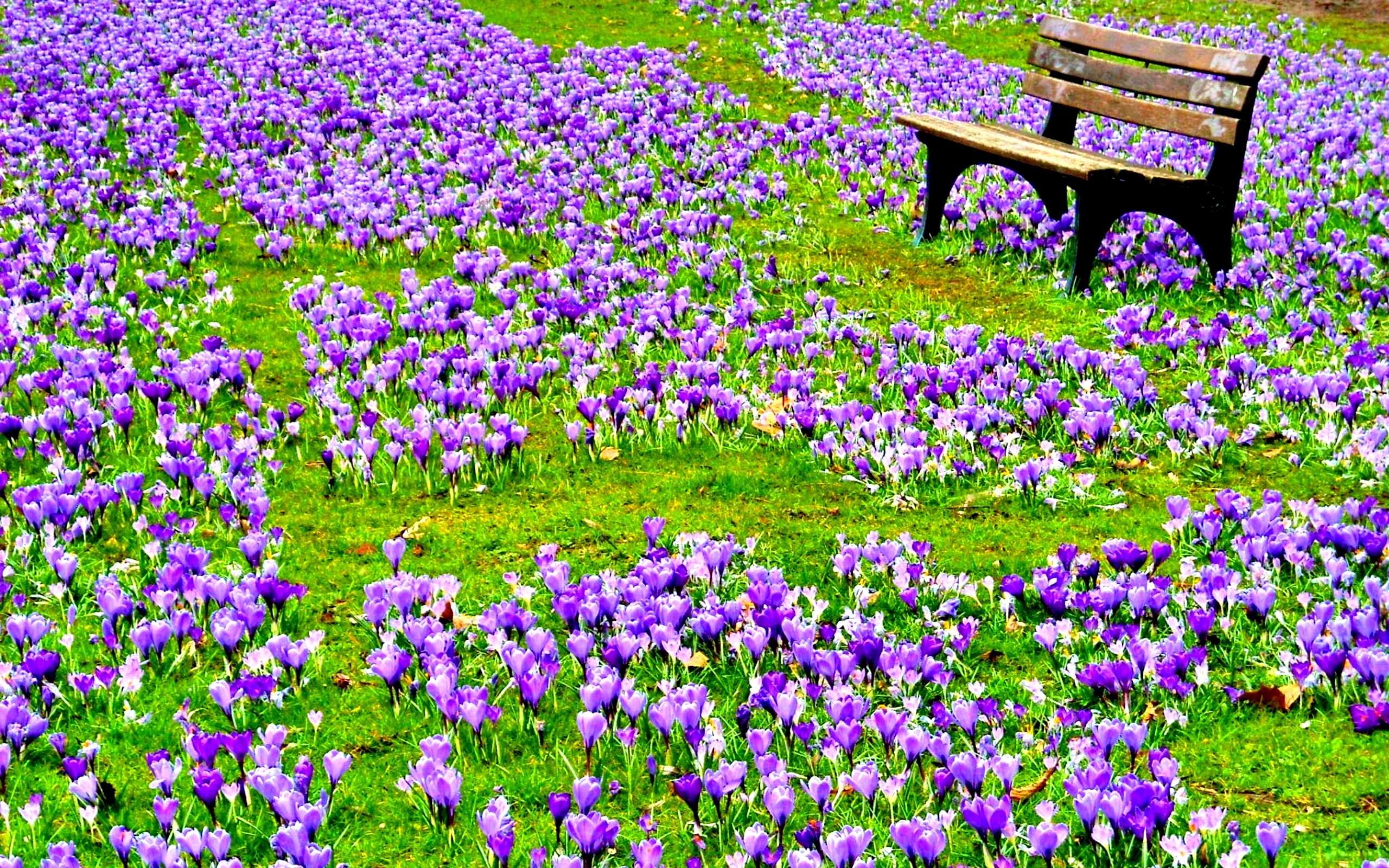 Beautiful Spring Images Free Download