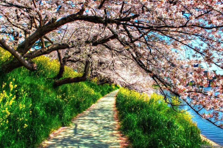 Beautiful Spring Images Free Download