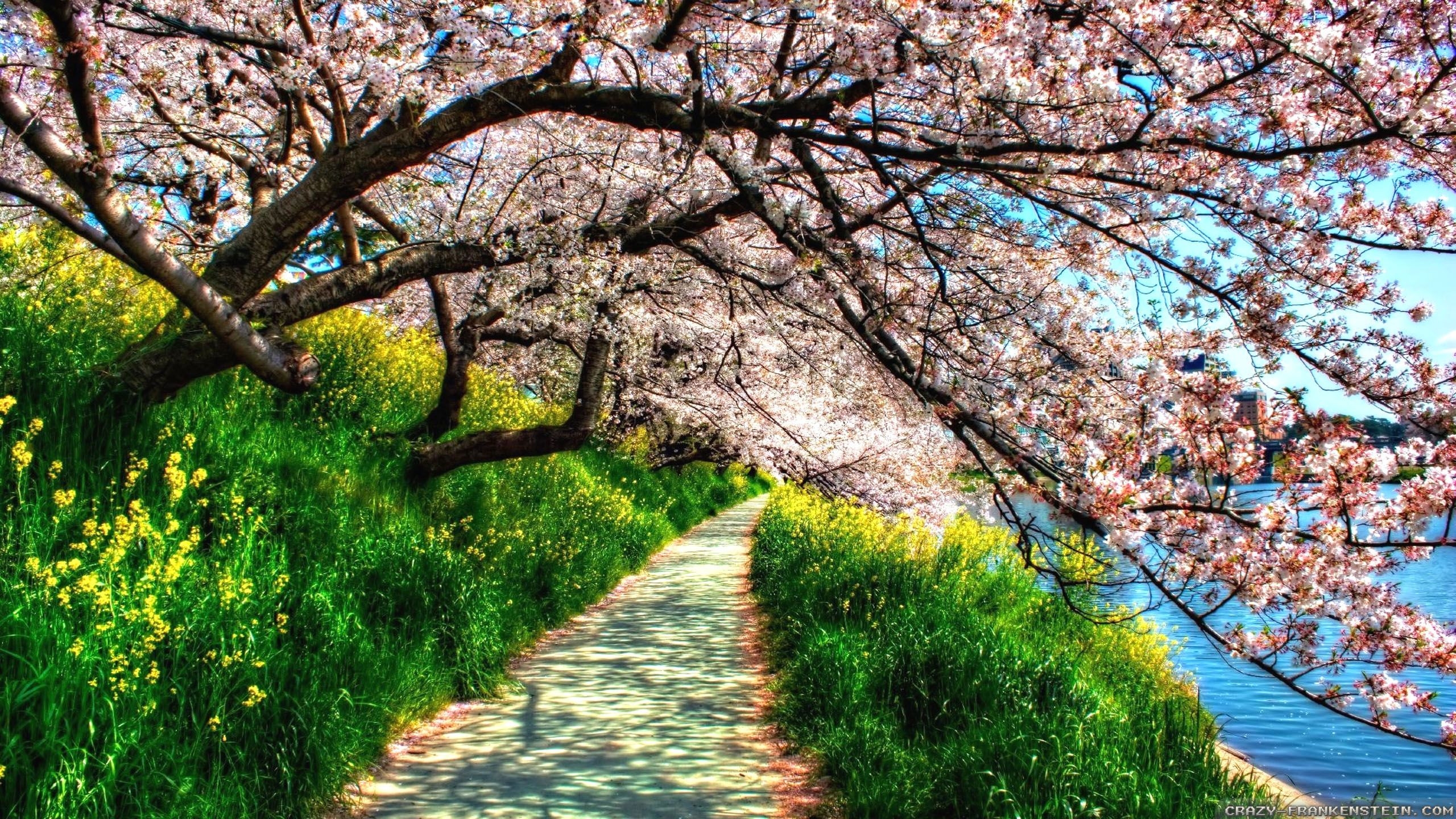 Beautiful Spring Images Free Download