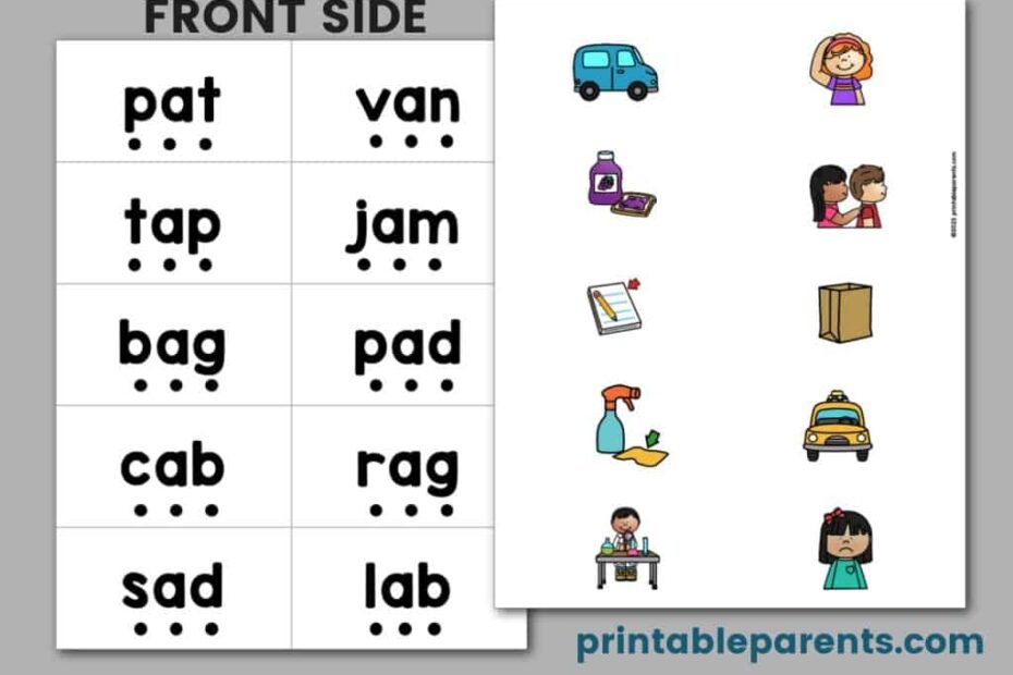 Cvc Flashcards Flashcards Cvc Words Cvc Bilarasa