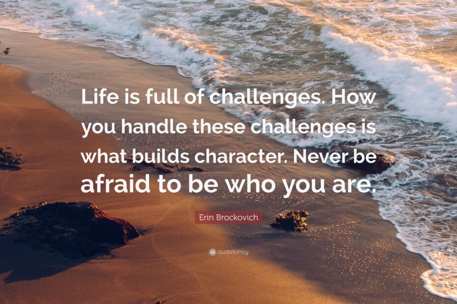 Erin Brockovich Quote Life Is Full Of Challenges How You Handle