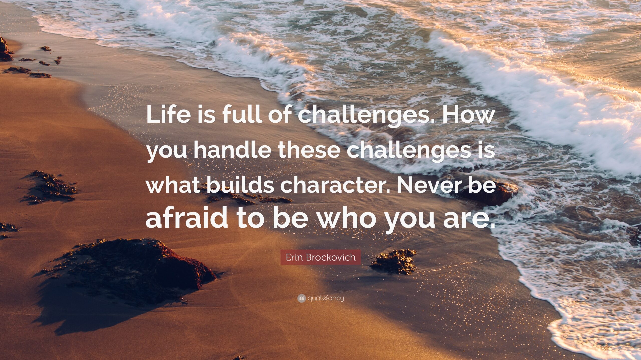 Erin Brockovich Quote Life Is Full Of Challenges How You Handle 