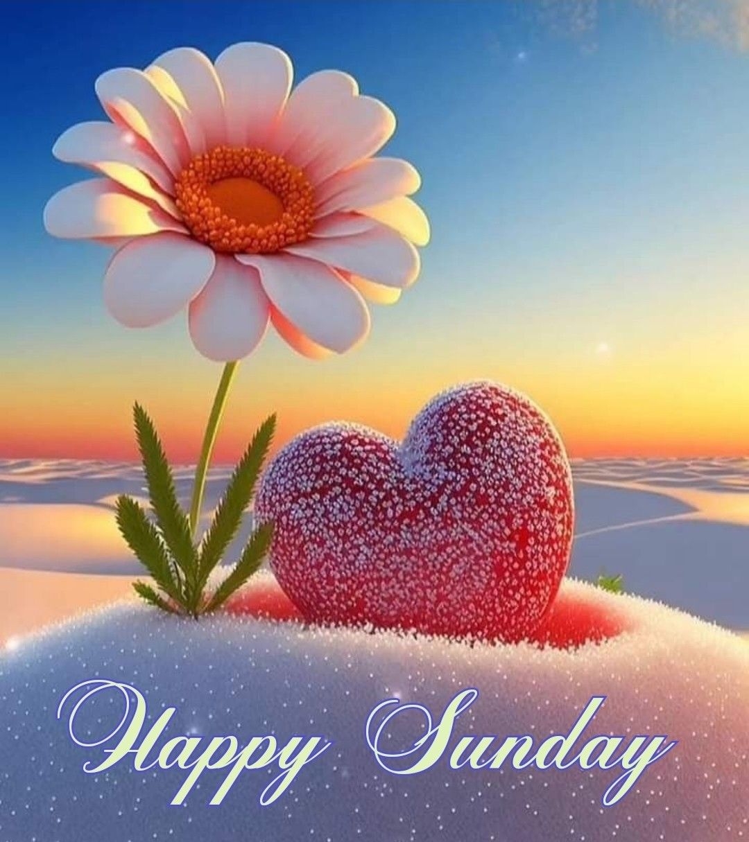 Extensive Collection Of 999 Incredible Sunday Images Full 4K Quality