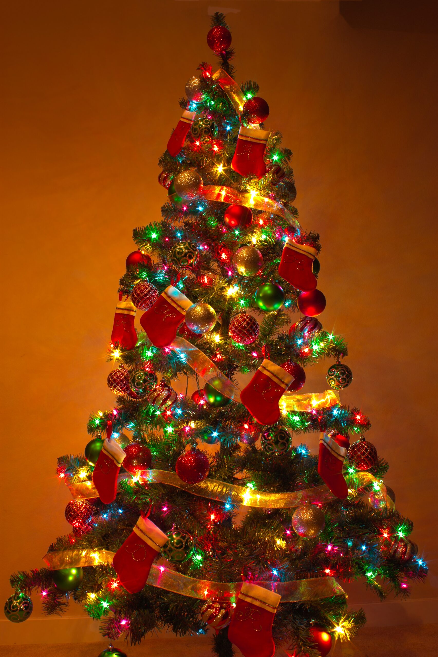 File Y Christmas Tree 2 jpg Wikipedia The Free Encyclopedia File Y Christmas Tree 2 jpg Wikipedia The Free Encyclopedia