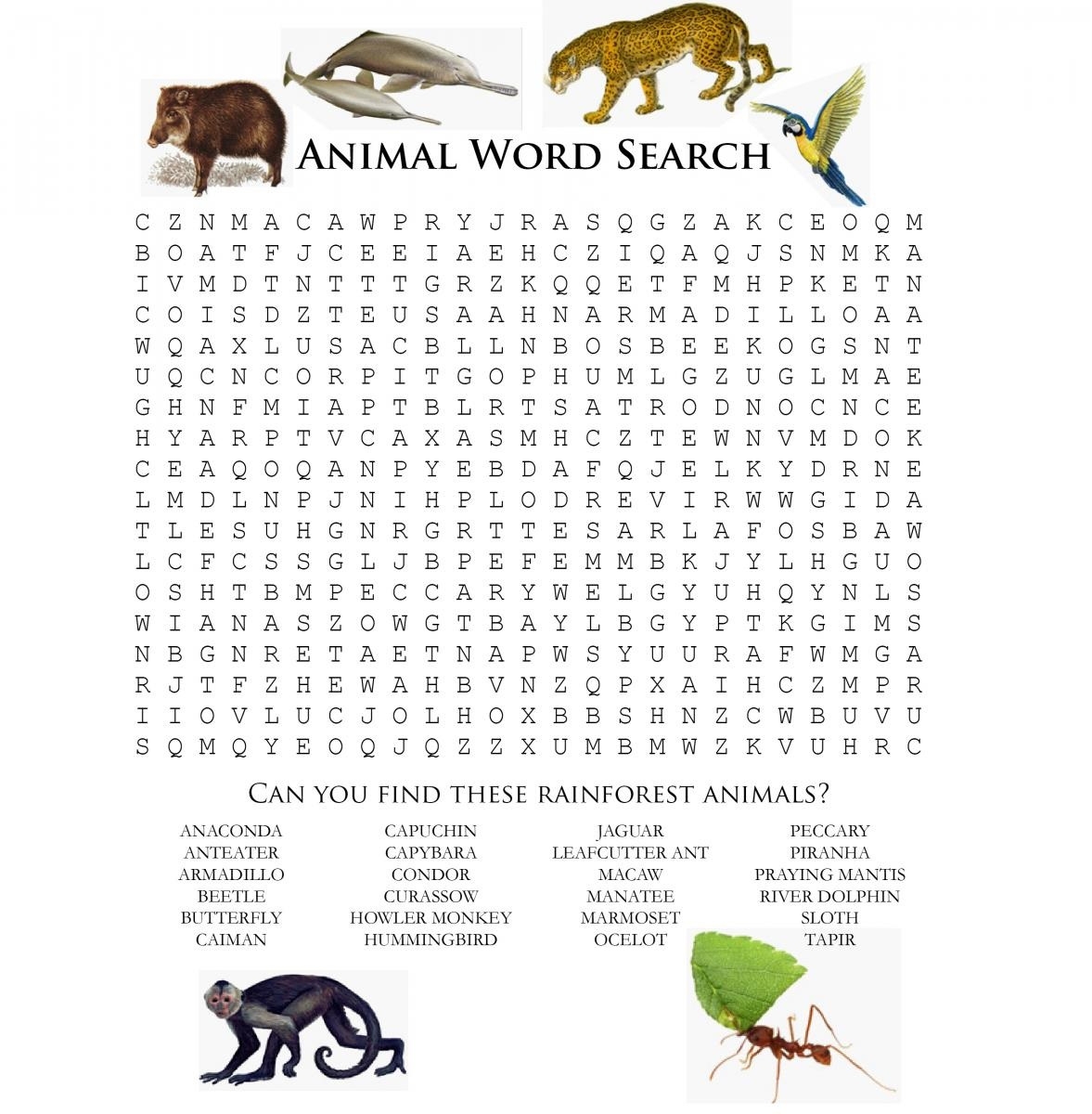Printable Fun Word Searches Printable Word Search Printable Fun Word Searches Printable Word Search