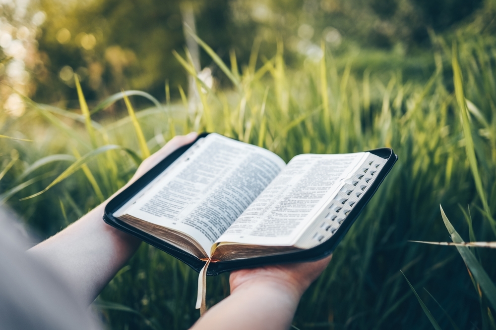 Reading The Bible Diocese Of Parramatta