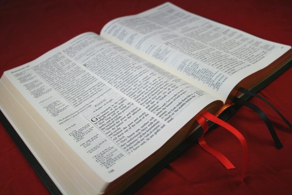 TBS Westminster Reference Bible Review